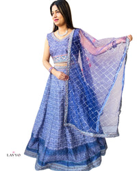 Premium Royal Blue (Pastel Color) Embroidery Work Sleeveless (Extra Sleeves Inside Customer Stitching Required) Anarkali Set (Lehnga Style) with Sheer Dupatta (3 Piece Set) | FREE SIZE